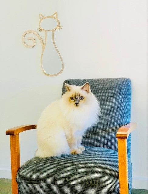 Sitting Cat Mirror - Children's Bedroom Wall Art