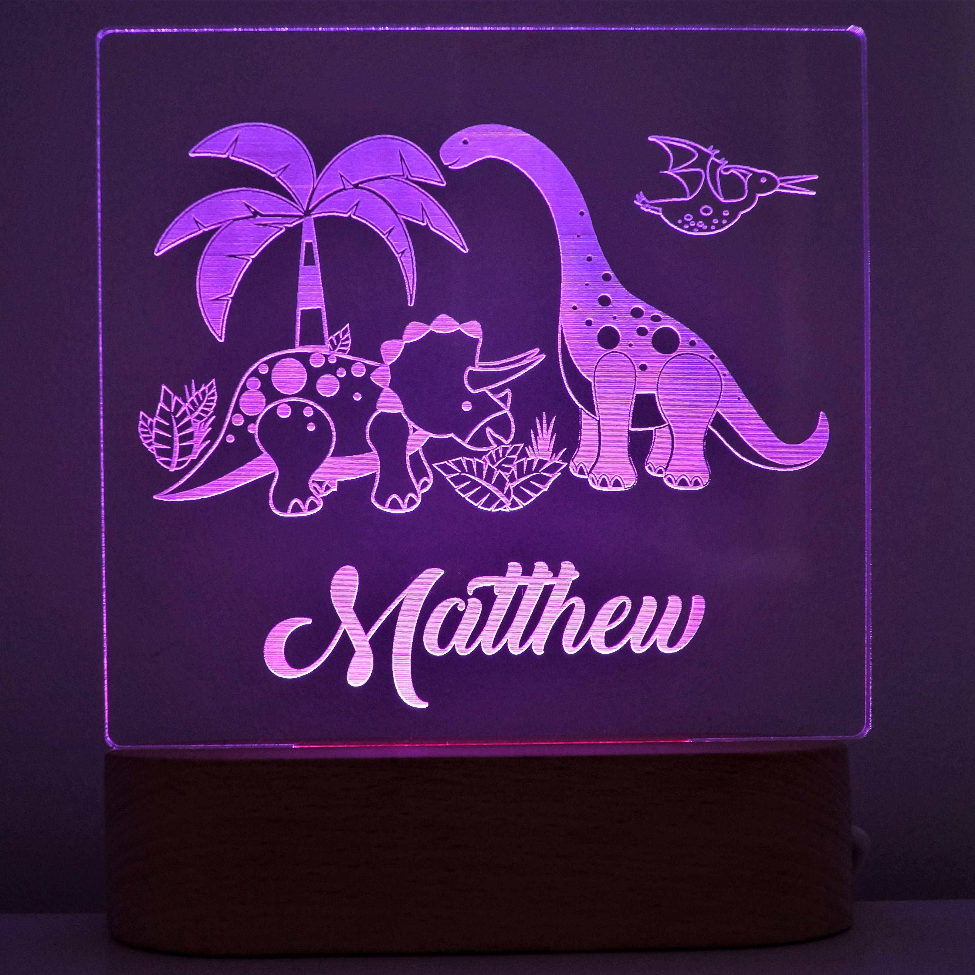 Dinosaur Personalised Night Light