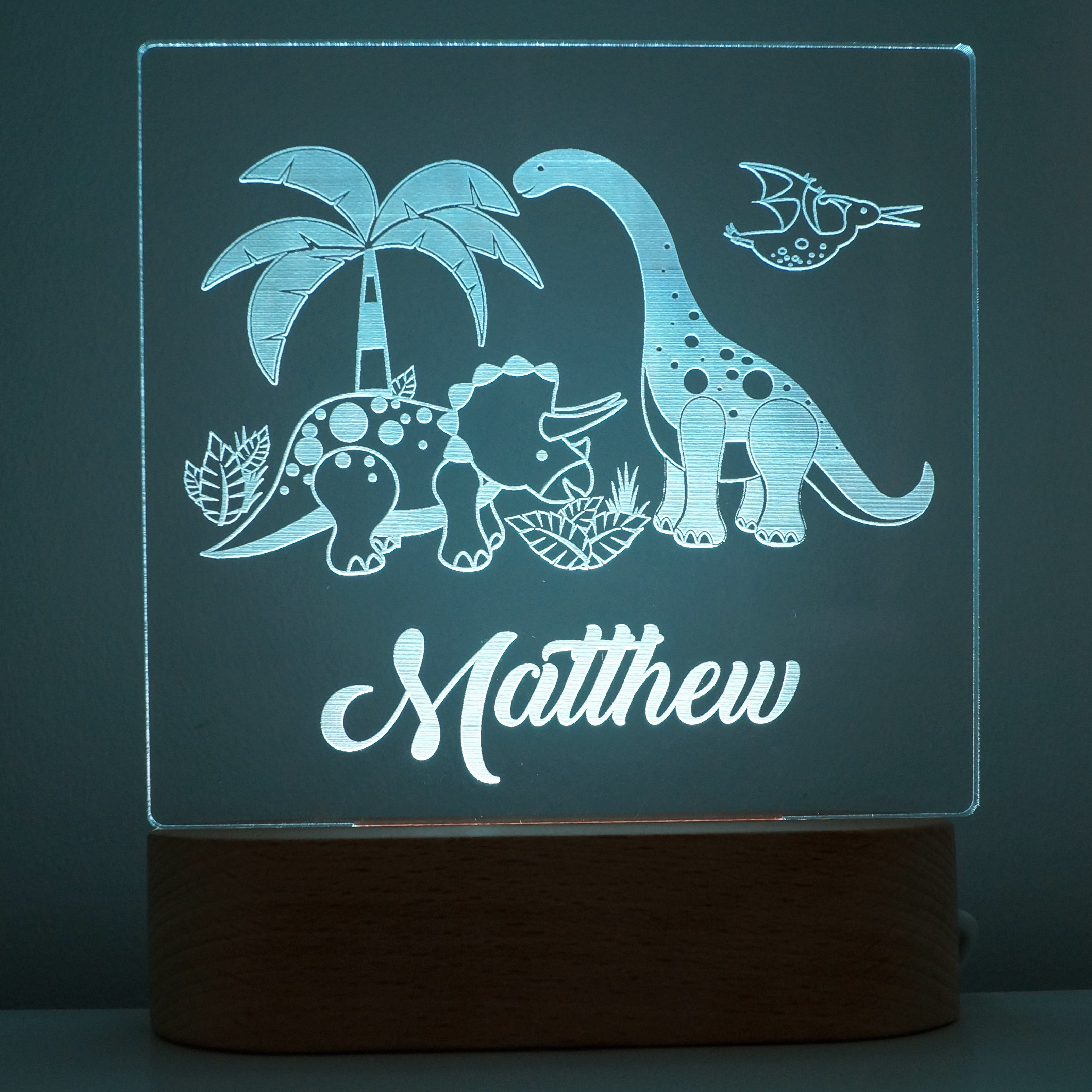 Dinosaur Personalised Night Light