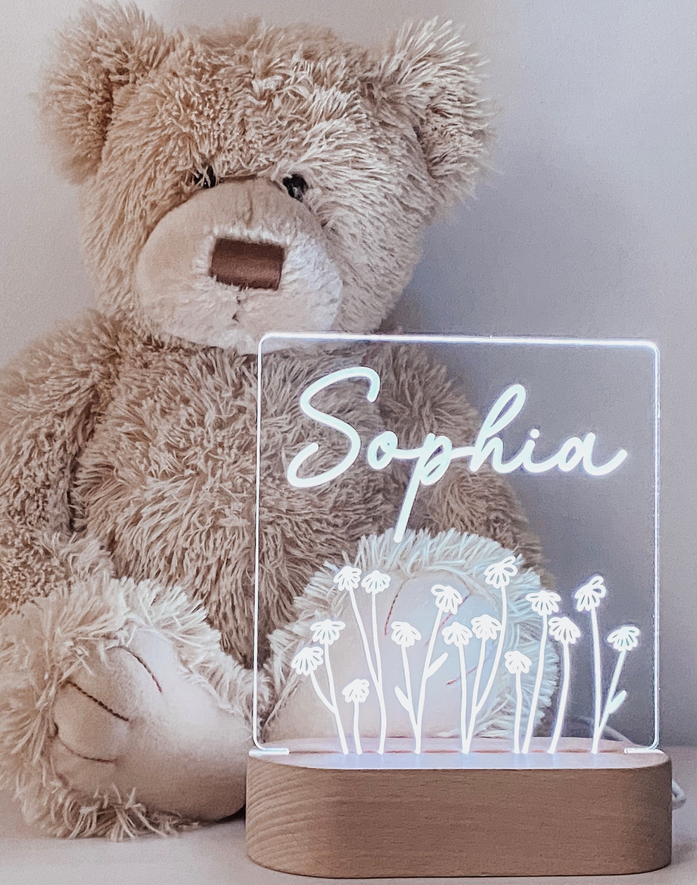 Wildflower Daisy Personalised Night Light