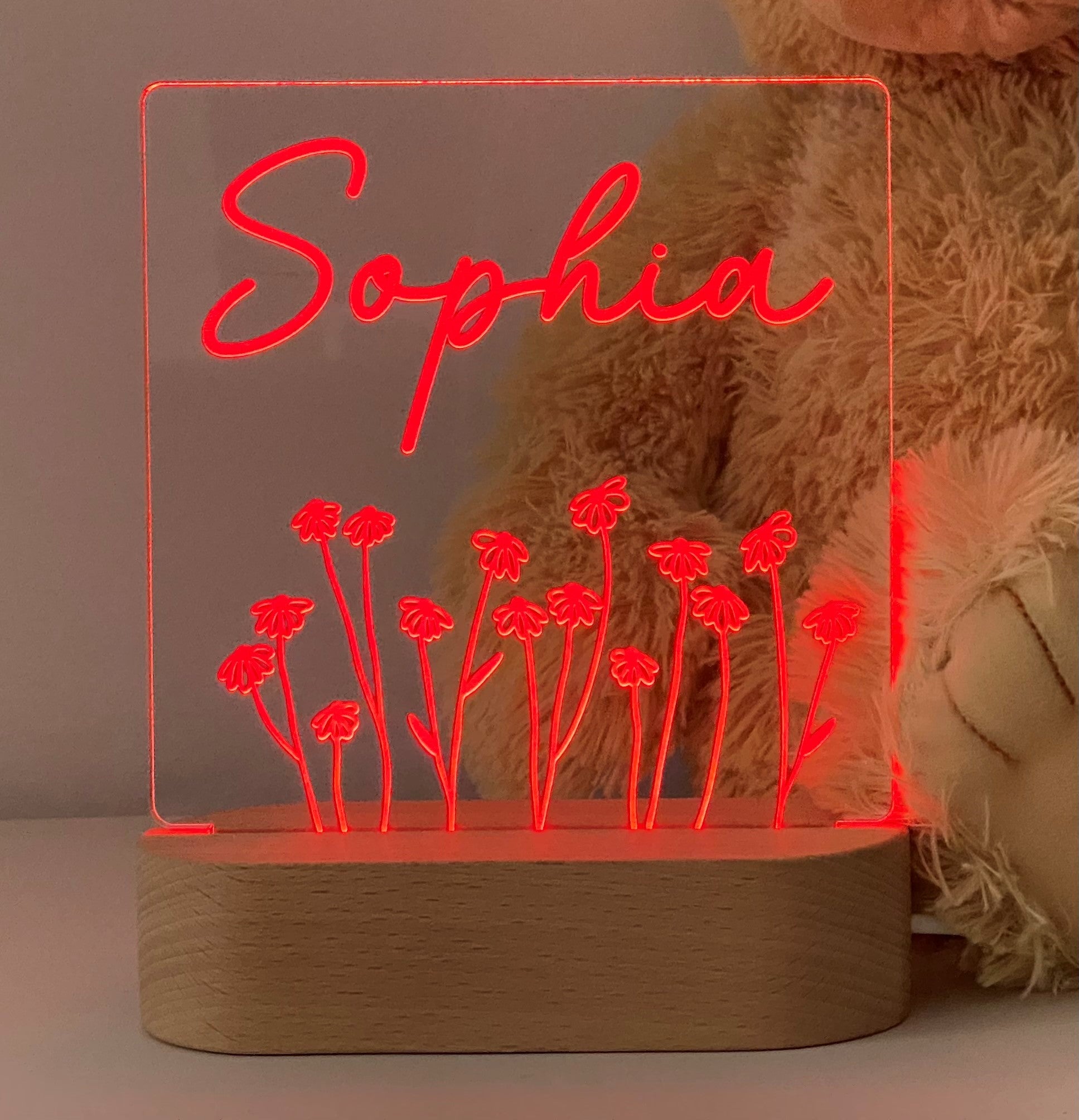 Wildflower Daisy Personalised Night Light